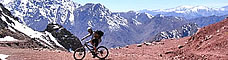 Prenez part à nos vacances annuelles à vélo